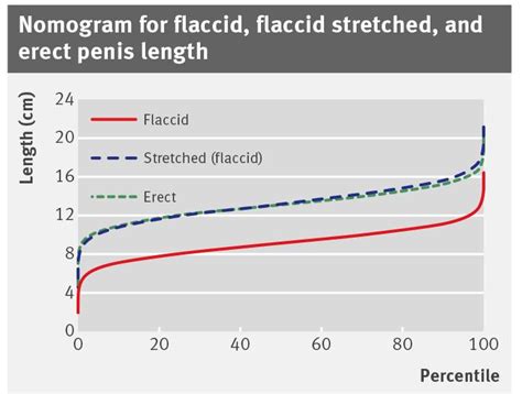 flaccid big cocks